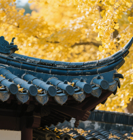 在济宁，我决定开始狠狠爱“老己”