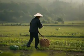 三农快报 | AI·农谚话清明图片