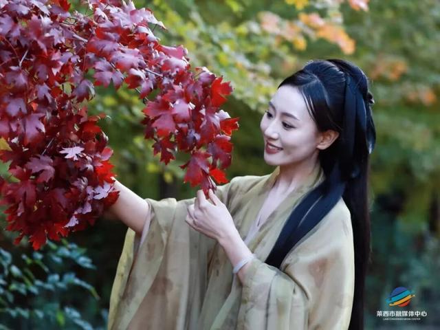 莱西市第十届红枫嘉年华正式拉开帷幕！