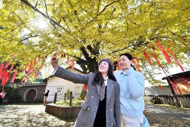 2025保康秋游季，邀您共赏山色如画