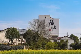 写好多彩文章 静待幸福来临——长沙县福临镇农文旅融合赋能乡村振兴图片