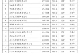 2024江苏营收百强企业榜发布，总营收72861.16亿元，增长7.73%；恒力、盛虹、沙钢居前三图片