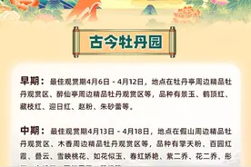 @全国游客 2025年菏泽各大牡丹园牡丹花期全攻略来了！图片