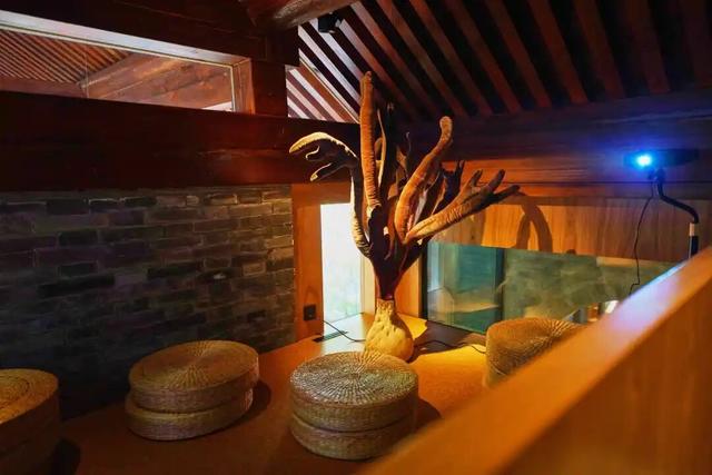 来东城这个胡同小院，邂逅蘑菇精灵的童话秘境——