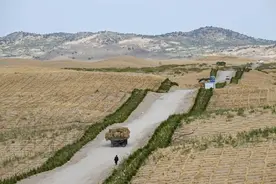 内蒙古：综合运用多种手段治理科尔沁沙地图片