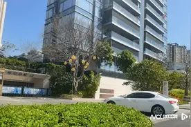 东莞“深圳湾一号”停车费120元/天遭质疑，监管部门回应图片