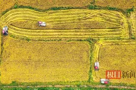 5.4万台套北斗终端农机耕耘田地间，助湖北农村农业“慧”丰收图片