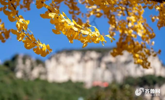组图丨一大波美图来袭！泰山景区9个赏秋地超出片