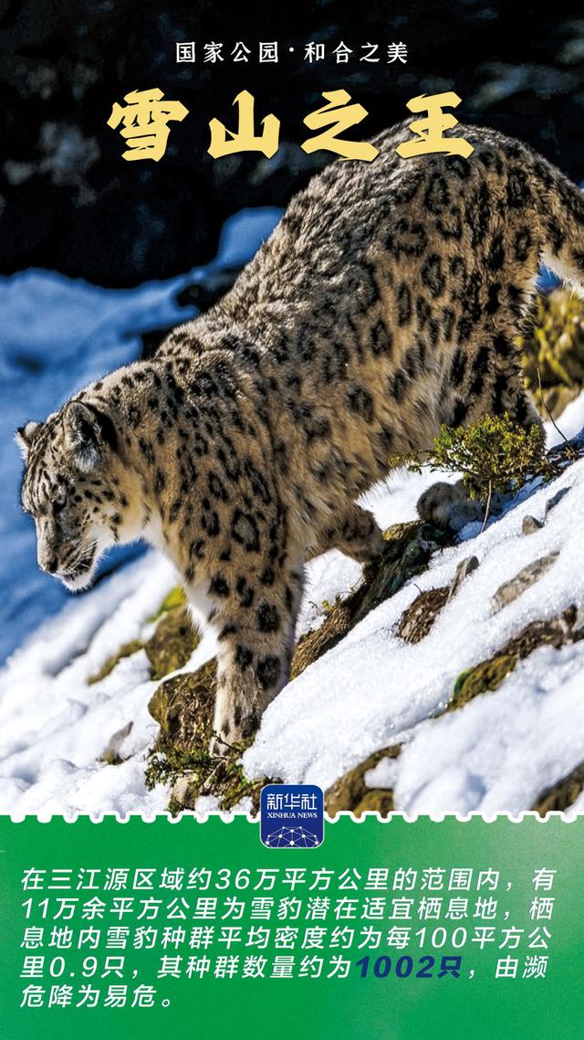 和合之美｜三江源国家公园：中华水塔、稳固丰盈