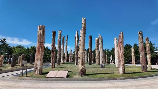 烟台自然博物馆：“五美融育”绘就 “仙境海岸·最美博馆”