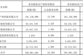大股东千万持股又遭拍卖，皇庭国际5年亏超43亿债务危机难解图片