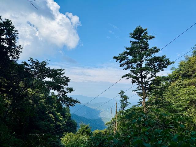 福地怀化，清凉一夏！在1400m海拔的雪峰山脉感受22度的夏日清凉