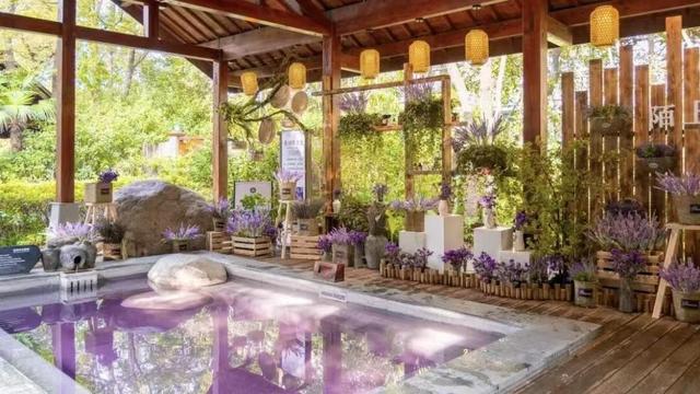 游景区、看晚会、见球星，“苏超”激情在常州回响