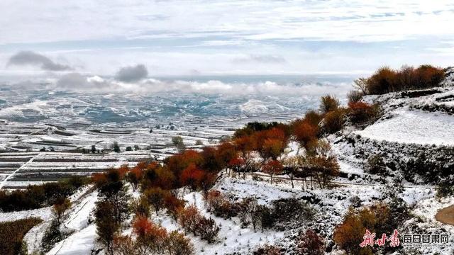 在甘肃，这些秋天仪式感拉满的事，你做了几件？