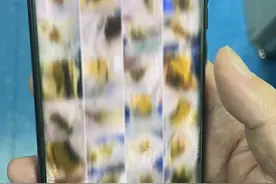 全网 300 多万粉丝的医生相册曝光！内容简直让人没眼看...... | 探秘大 V 医生②图片