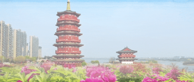 【瀍河动态】一览瀍河动态