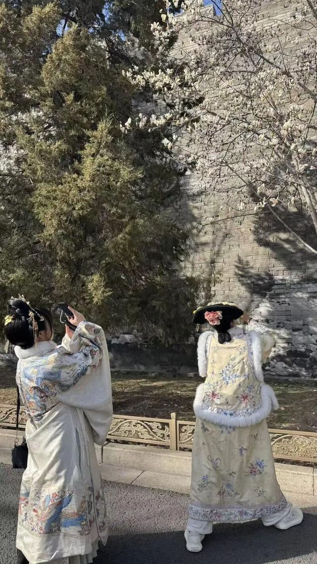 京城春早启新程｜梅香报春！北京开启早春赏花模式
