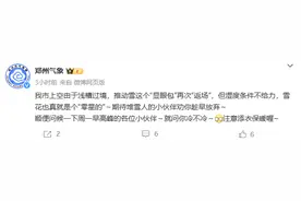 郑州部分区域飘起了雪花，气象局最新回应图片