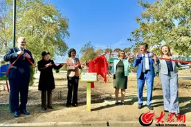 我们这一年④ | 2024，菏泽在高水平开放中实现产业破局图片