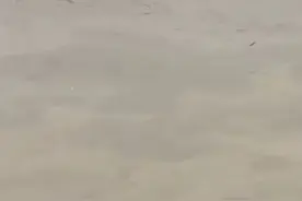 仰望U8挑战河道被淹？长沙水运事务中心辟谣：涨水冲下来的智能航标图片