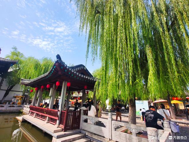 明湖垂柳曼妙多姿，游人如织景致如画