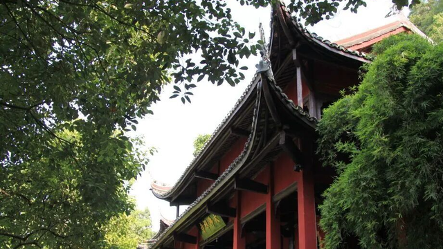 惊奇自贡 探秘龙乡④