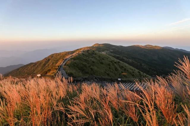 初冬限定！三明的山林、梯田、古村，藏着最治愈的风光