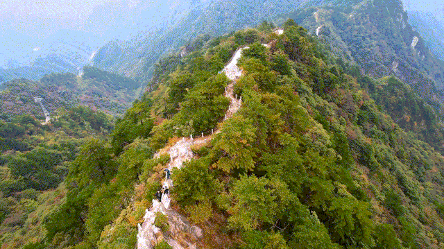 六安一4A级景区公告：全国免费！