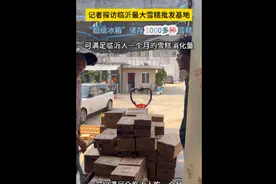 沂视频|探访临沂市最大雪糕批发基地，储存雪糕千余种图片