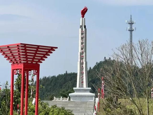 【遂川乡村游】“不去衙前看猛楠，游遍遂川也枉然”附新江古树秘境
