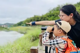 盛典展播｜一位幼儿老师的22年：打破教室边界，把城市变成课堂图片