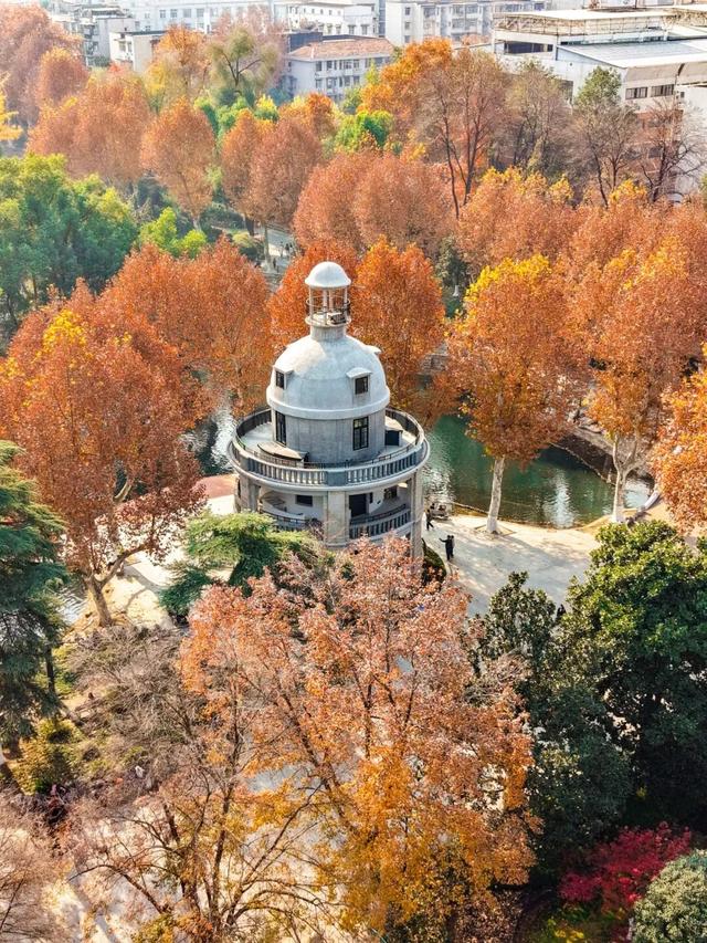 跨年别宅家！武汉公园元旦3天玩法全攻略来了