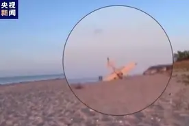 美国一小型飞机迫降栽倒在海滩上 万幸人没事儿图片