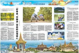 闯东盟·丝路上的湘商丨“好零食，中国造”背后的出海雄心图片