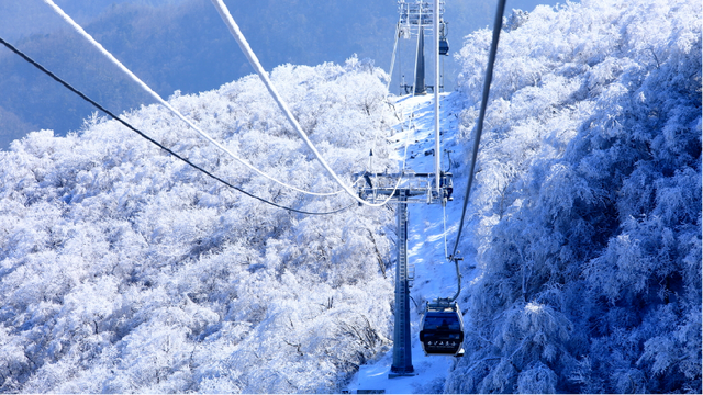 第十一届四川光雾山国际冰雪节即将启幕，冬日出游攻略请查收！