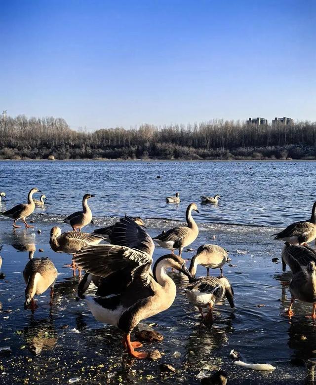 冬日里的童话世界！沈阳宝藏打卡地，攻略来了→