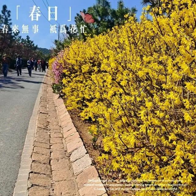 国庆拍照不扎堆！超多影视剧同款，市北这些“机位”别错过