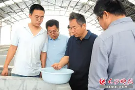 探访湖南“科研候鸟” 南繁之路：播种希望，育梦田野图片