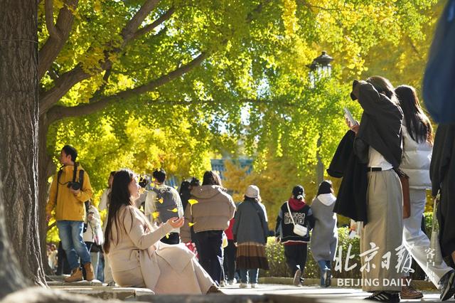 拥抱秋色！地坛银杏大道游人如潮