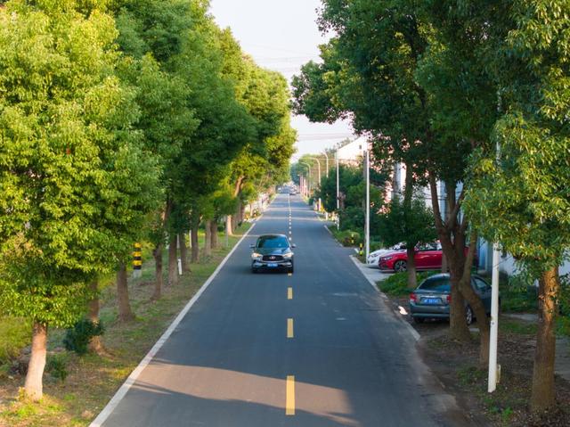 无锡这些农村公路，藏着最惬意的清凉