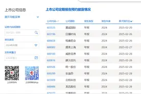 上交所上市公司2024年年报预约披露时间出炉，嘉诚国际拔得头筹图片