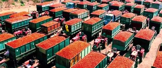 巴彦淖尔这座城，比你想象的更“宝藏”