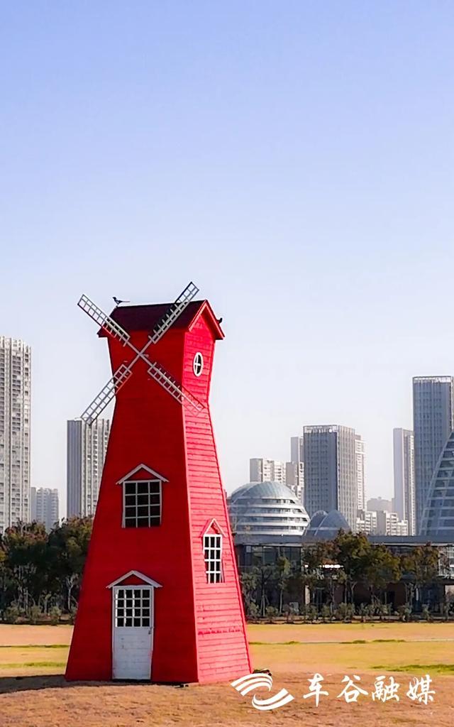 橙黄橘绿时 武汉经开区斑斓如画