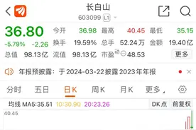 长白山12天9板后大跌 哈尔滨带火的“冰雪行情”还能延续多久？图片