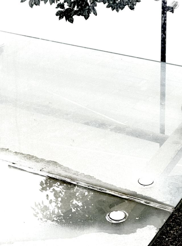 上海旅居⑧｜俄罗斯人马克：有时太快了感觉事情没真正发生过