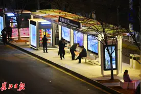 武汉最美樱花车站升级亮灯图片