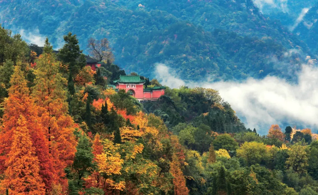 出片率100%！湖北的秋天太卷了