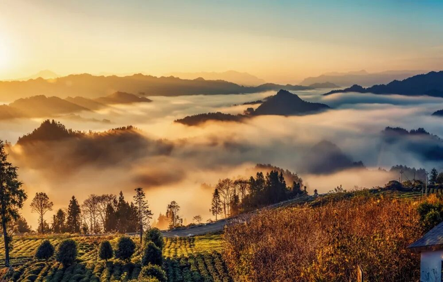 北北第一次推荐：湖北以外的打卡地