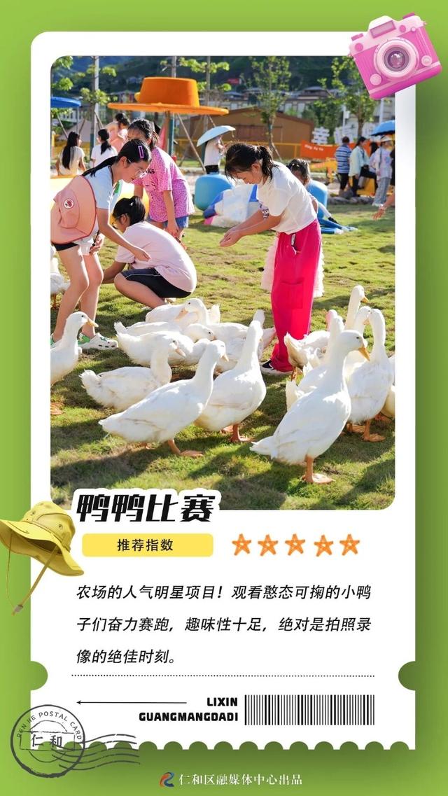 秋假去哪儿？仁和这个地方才是宝藏打卡点！