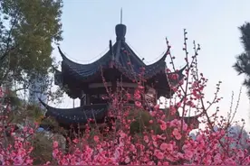 接下来的湖北是这样的！这份踏春地图快收藏图片